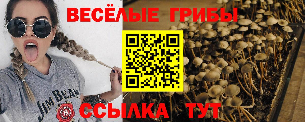 Тобольск  Псилоцибиновые грибы Cubensis  Псилоцибиновые грибы мицелий  Вход с VPN 