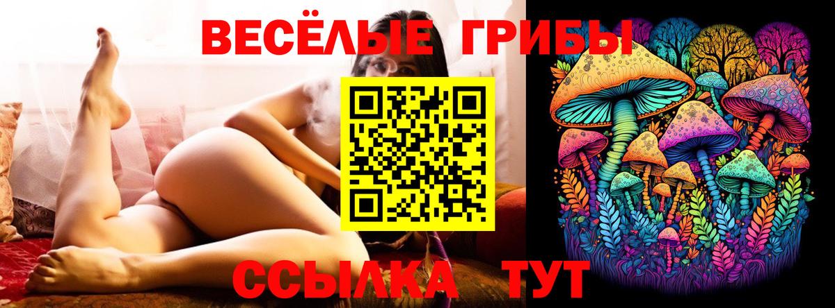 Галлюциногенные грибы Psilocybine cubensis Тобольск